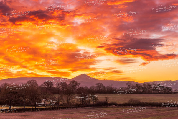 To buy a print or any of the below please click on the images